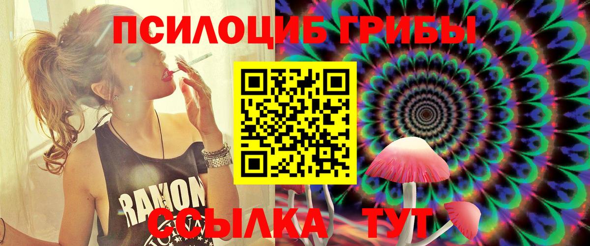 Кохма  Псилоцибиновые грибы Cubensis  Вход с VPN  Галлюциногенные грибы мухоморы 