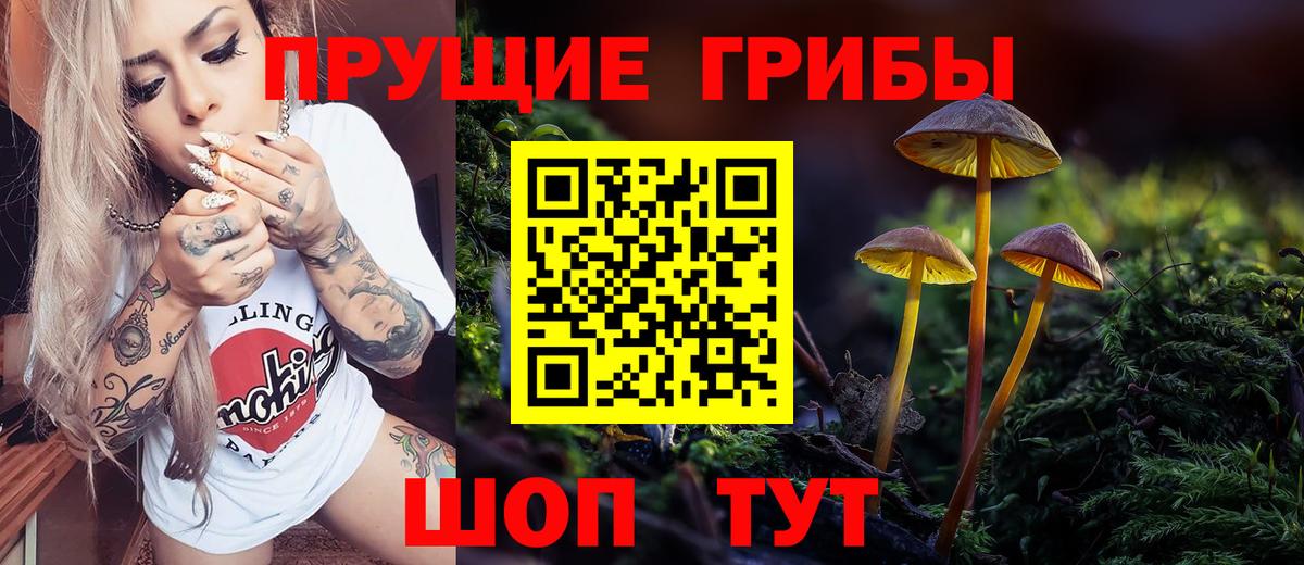 Псилоцибиновые грибы Psilocybine cubensis Кохма